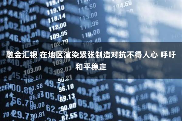 融金汇银 在地区渲染紧张制造对抗不得人心 呼吁和平稳定