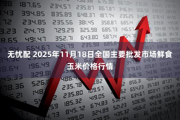 无忧配 2025年11月18日全国主要批发市场鲜食玉米价格行情